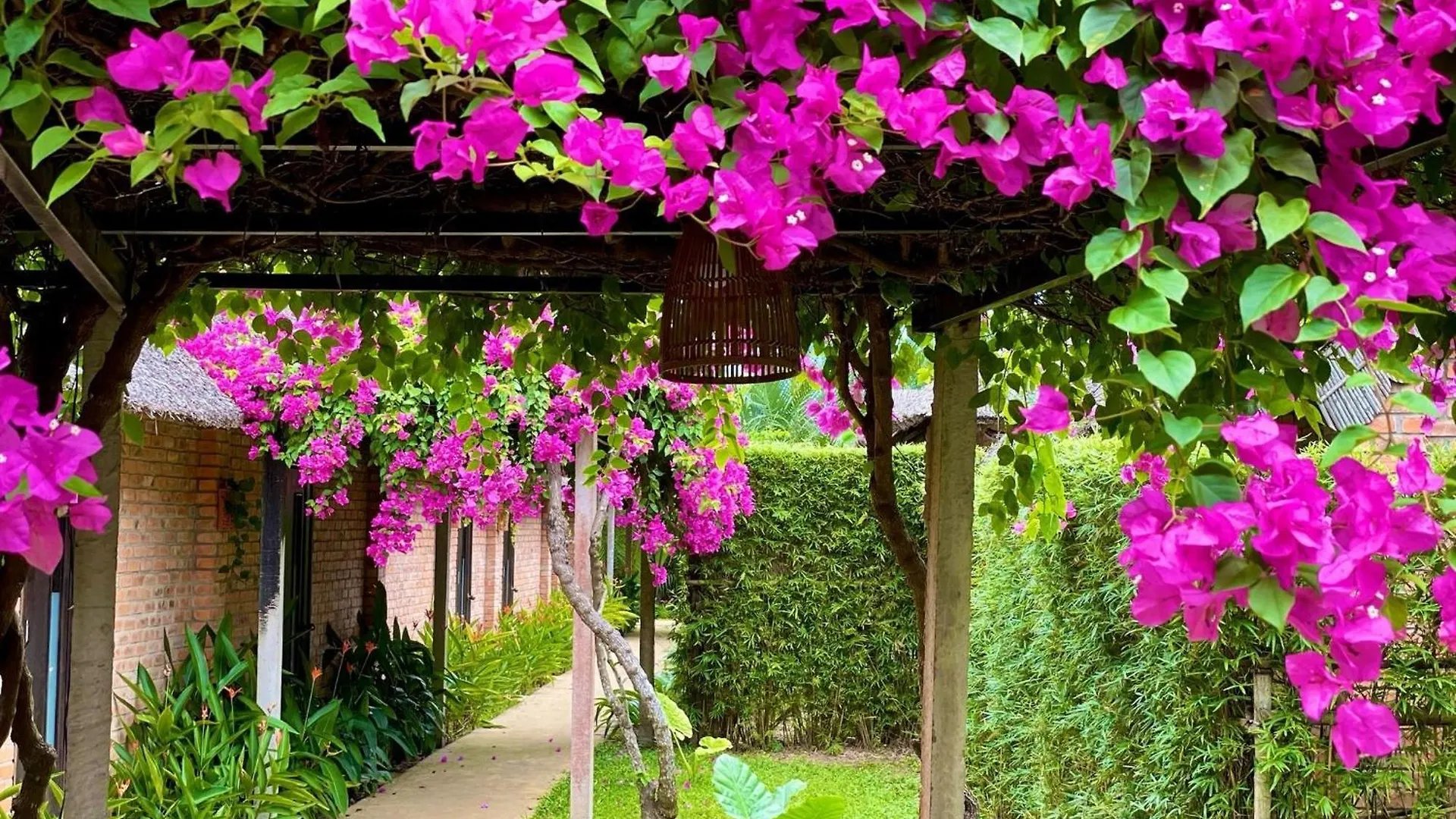 Enso Retreat Hoi An - Rediscovery & Serenity